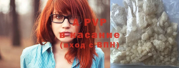 дмт Богданович