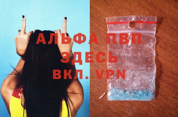 дмт Богданович