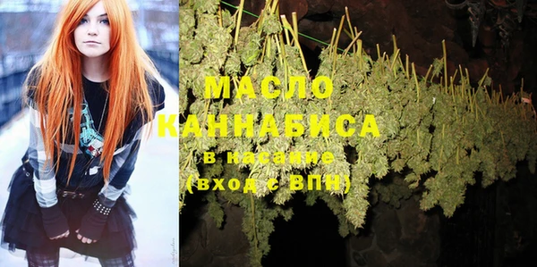 дмт Богданович
