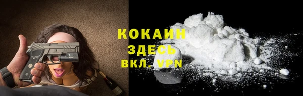 дмт Богданович