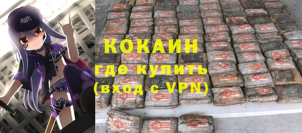дмт Богданович