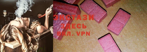 дмт Богданович