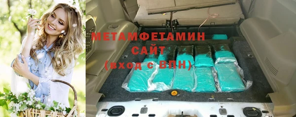 дмт Богданович